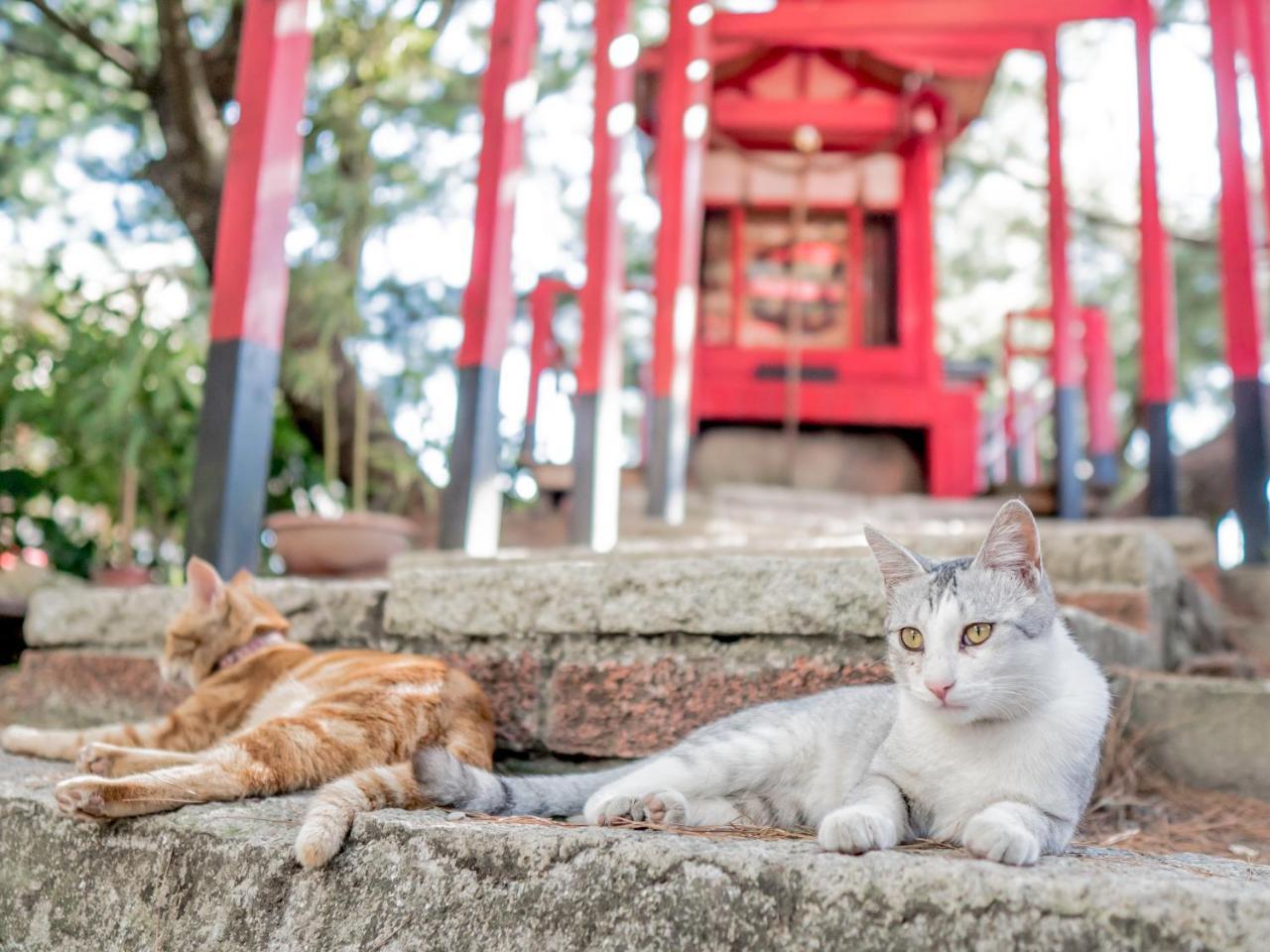 山城天嵐庭園民宿 Puli Luaran gambar